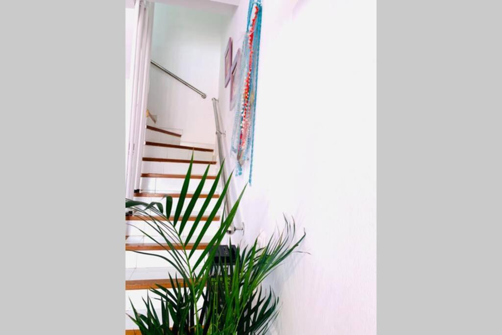 New Caleta,relax, Pool, Terrace, Wifi