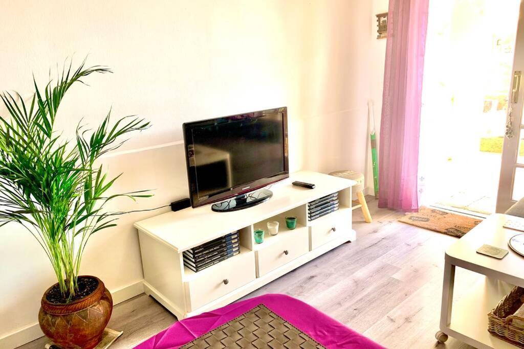 Apartment New Caleta,relax, Pool, Terrace, Wifi *